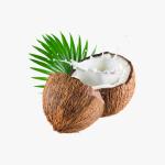 Avocado, Hass Large
